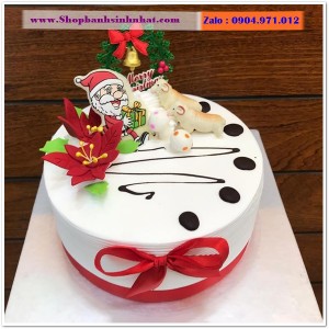 Bánh Sinh Nhật Sữa Tươi - AA433